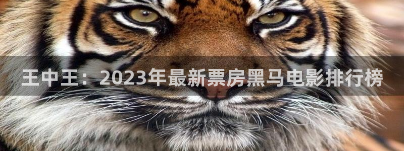 奇优影院免费高清视频