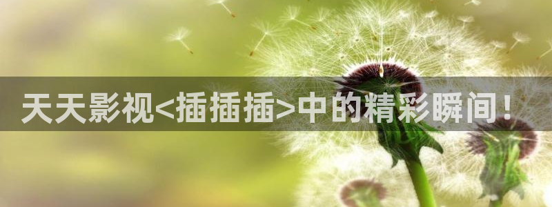 新闻图片