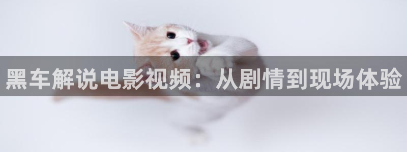 新闻图片