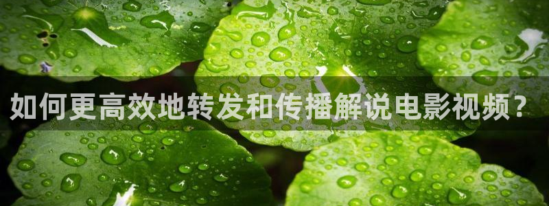 奇优影视网免费观看