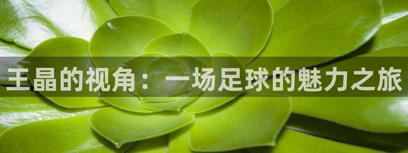 奇优影院免费在线观看
