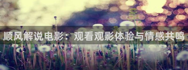 奇优影院旧版手机电视剧免费