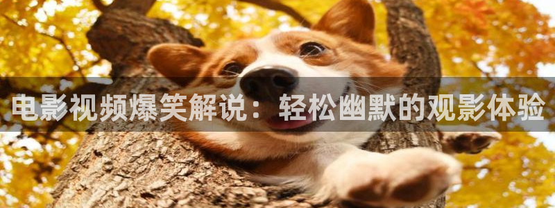 奇优影院手机版在线观看电视剧网站下载