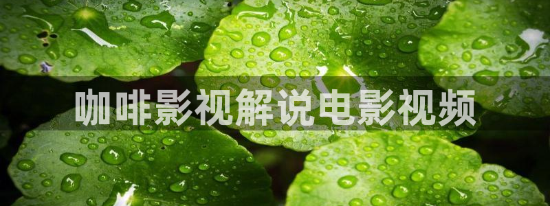 奇优影视手机版电视剧