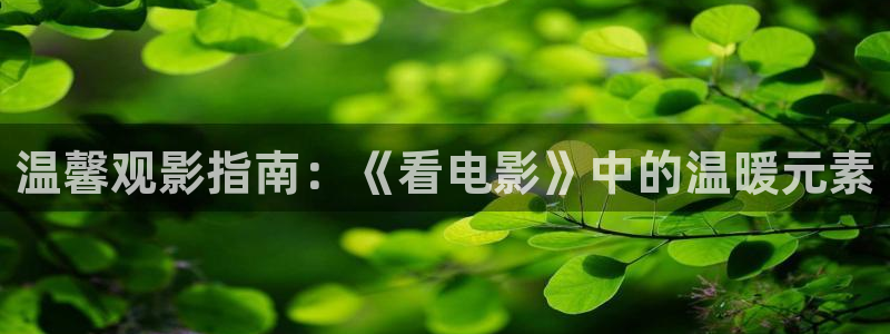 奇优影院手机版登录入口