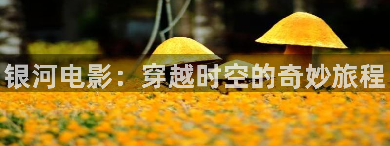 奇优影院在线观看手机版电视剧全集