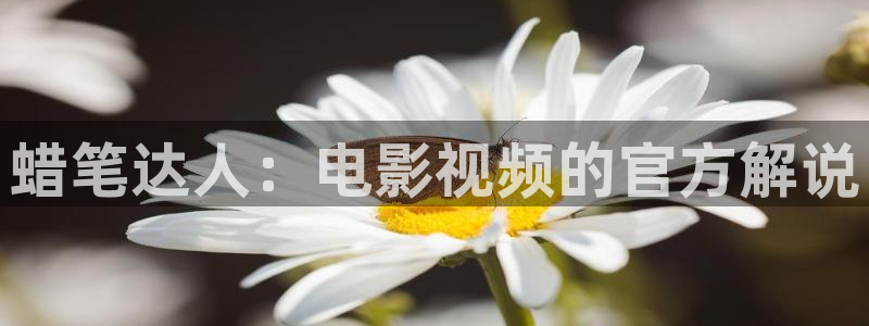 奇优影视网页版