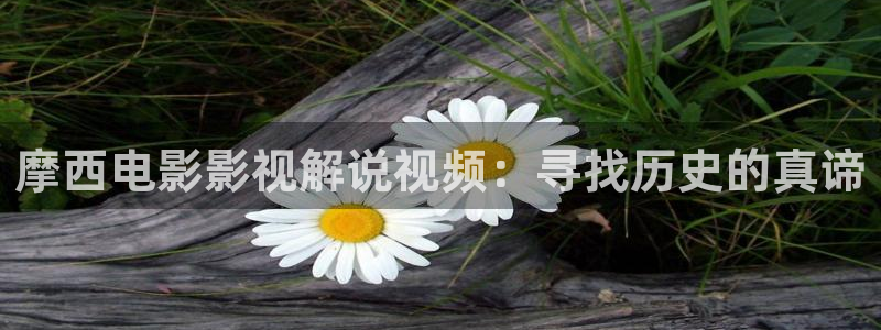 奇优影院电视剧电视剧第3页